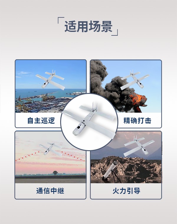 巡飞无人机xf03型(图3)
